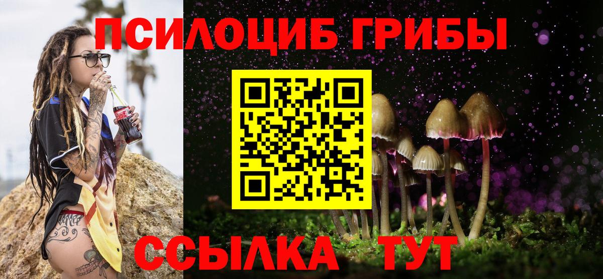 Псилоцибиновые грибы Magic Shrooms  Псилоцибиновые грибы Psilocybine cubensis  Долгопрудный  Вход с VPN 